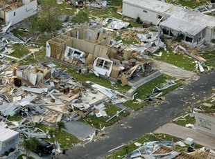 Natural Disaster Cleanup