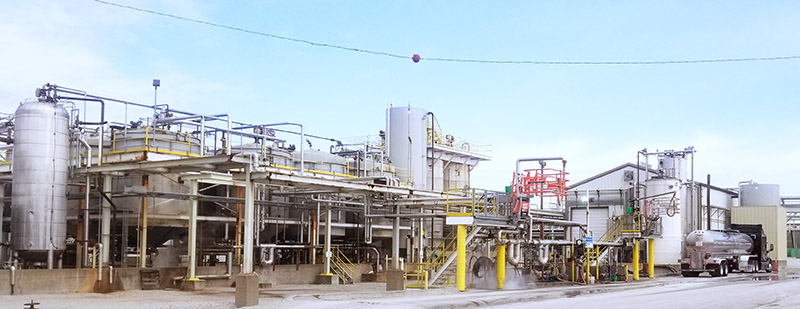 image of Sustainable Sourcing plant
